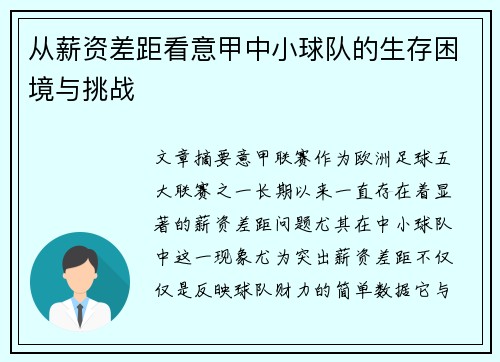 从薪资差距看意甲中小球队的生存困境与挑战